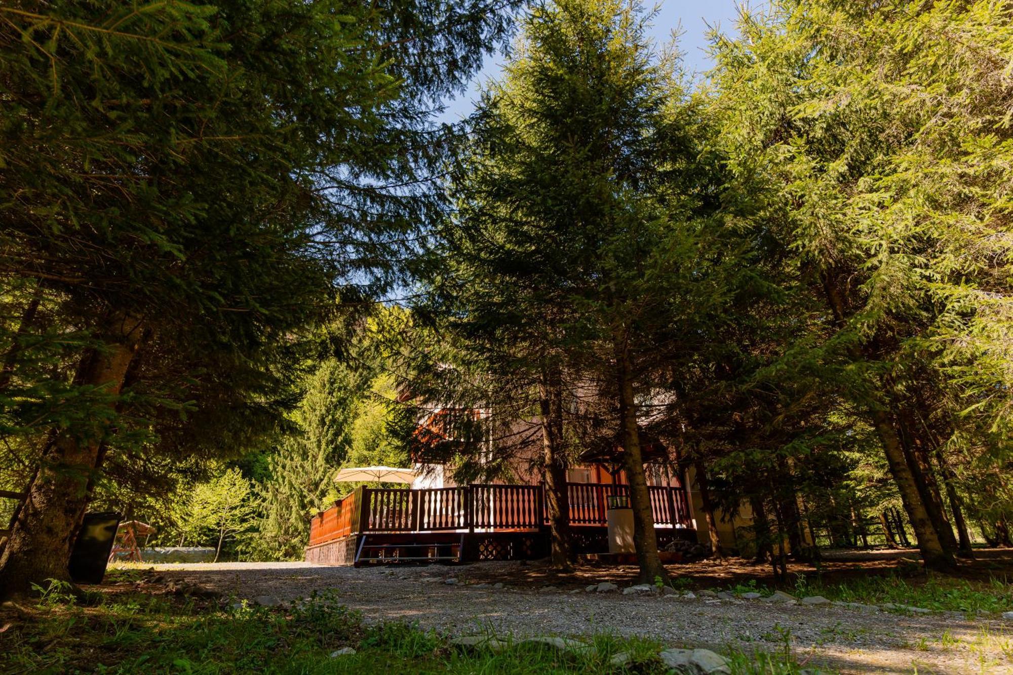 Cabana Zip Zarnesti Exterior photo